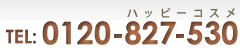 お電話は0120-827-530までお気軽に！